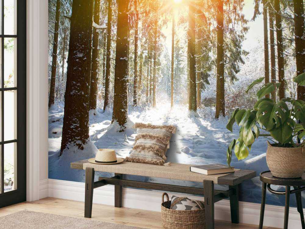 Światło słoneczne w zimowym lesie