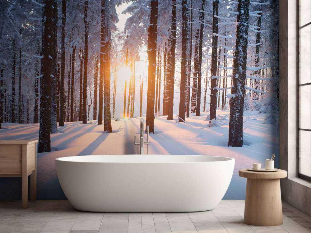 Zachód słońca w zimowym lesie