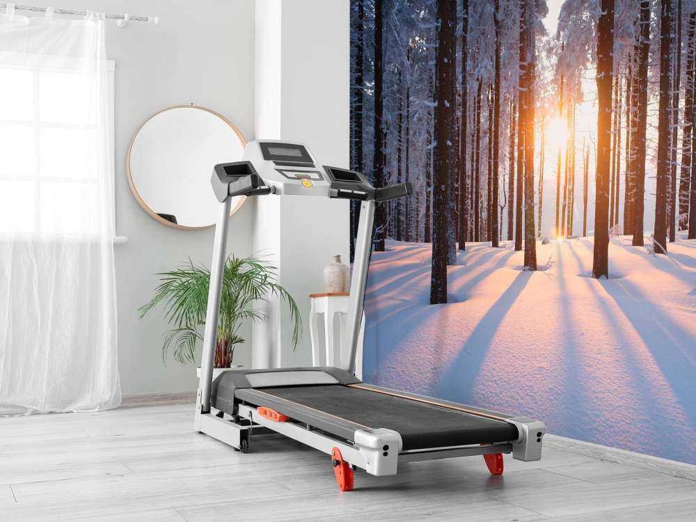 Zachód słońca w zimowym lesie