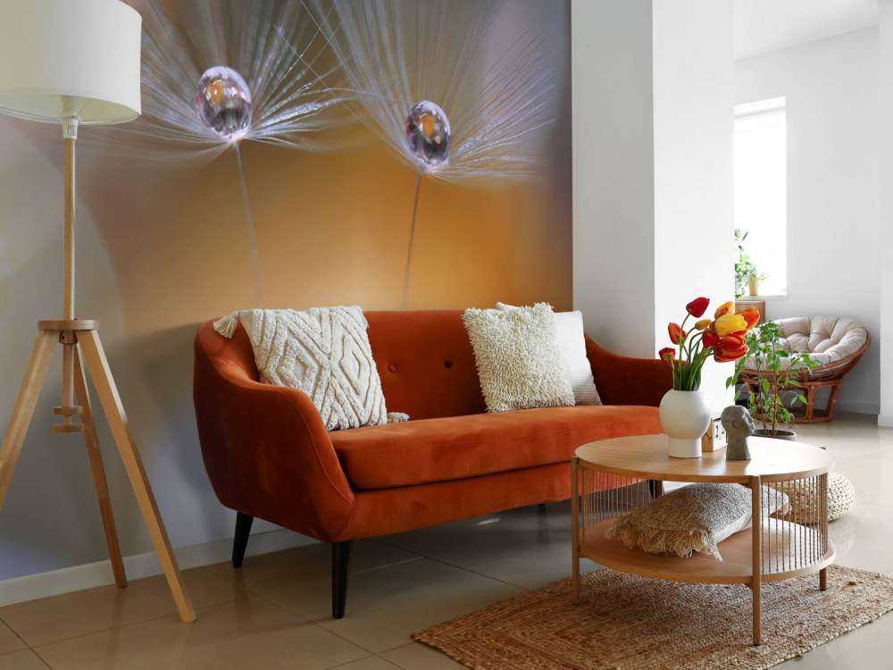 Nasiona mniszka lekarskiego