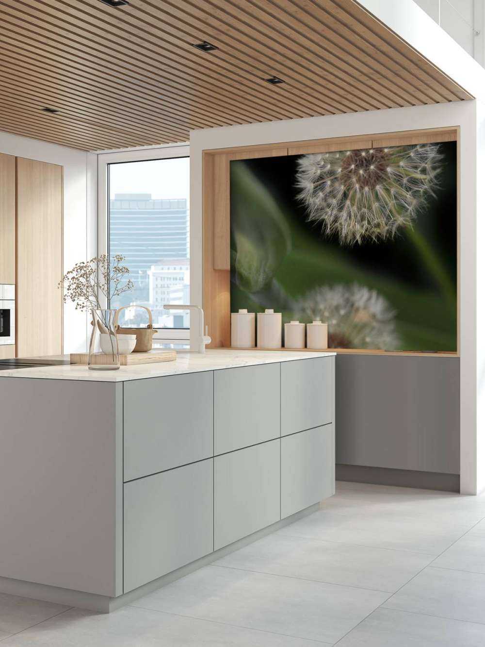 Zbliżenie na mniszki lekarskie