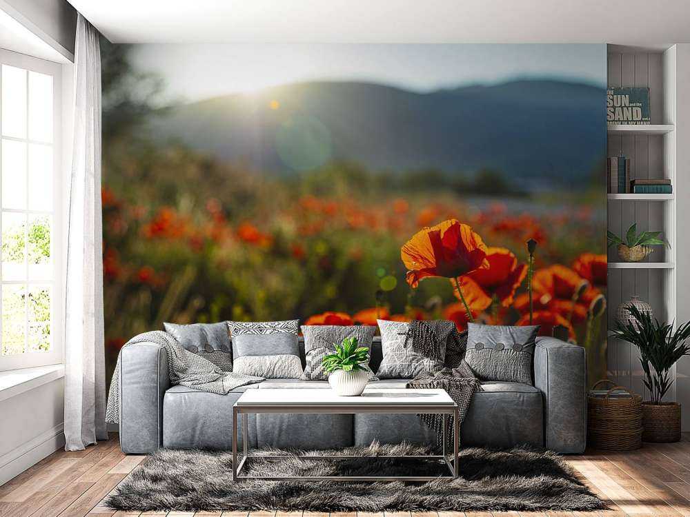 Maki z promieniami słońca