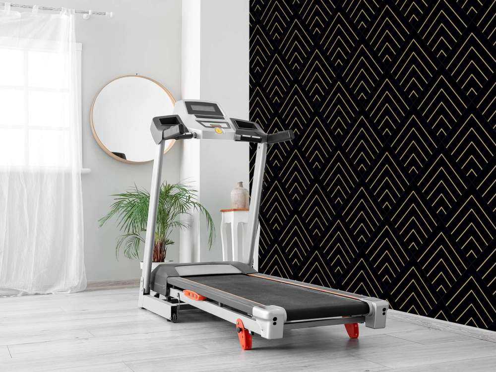 Złote linie, czarne