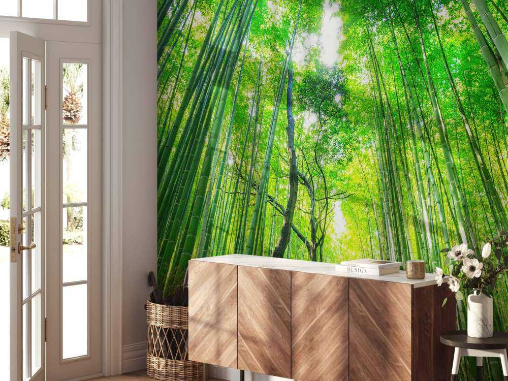 Las bambusowy w Arashiyama