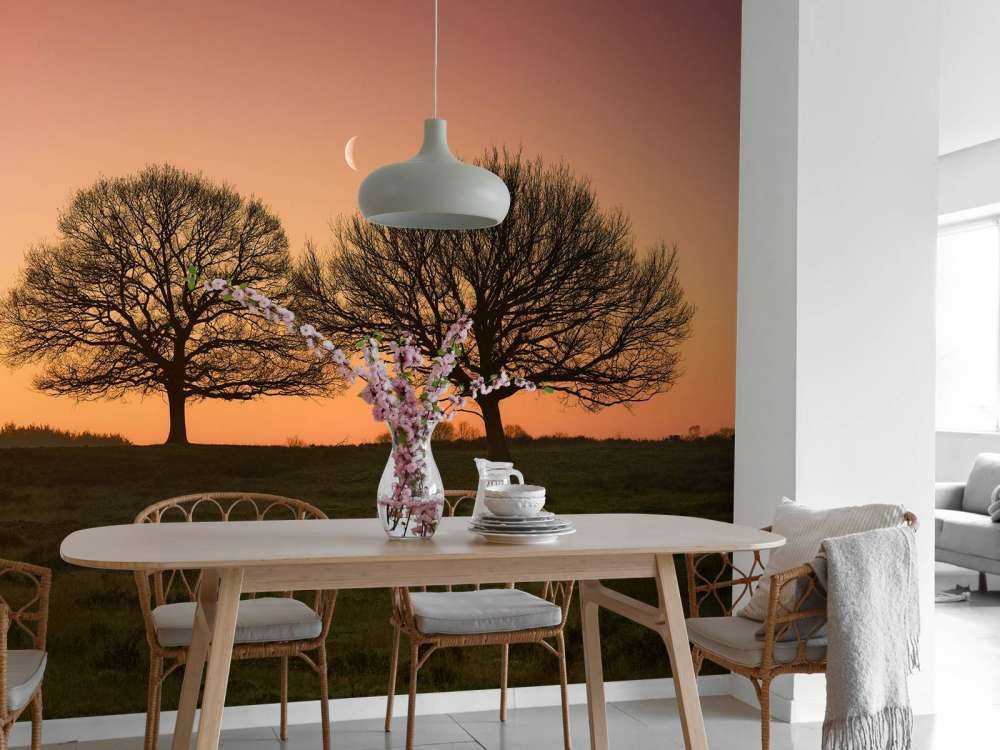 Księżyc między drzewami