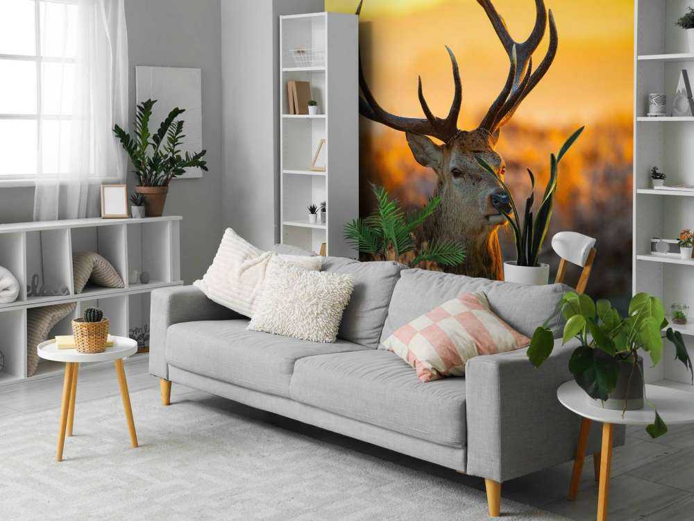 Jeleń w rezerwacie przyrody