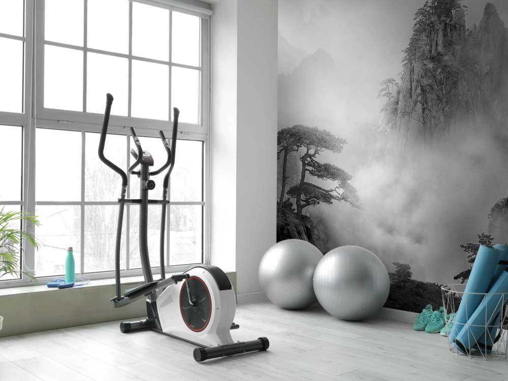 Huang Shan In The Fog