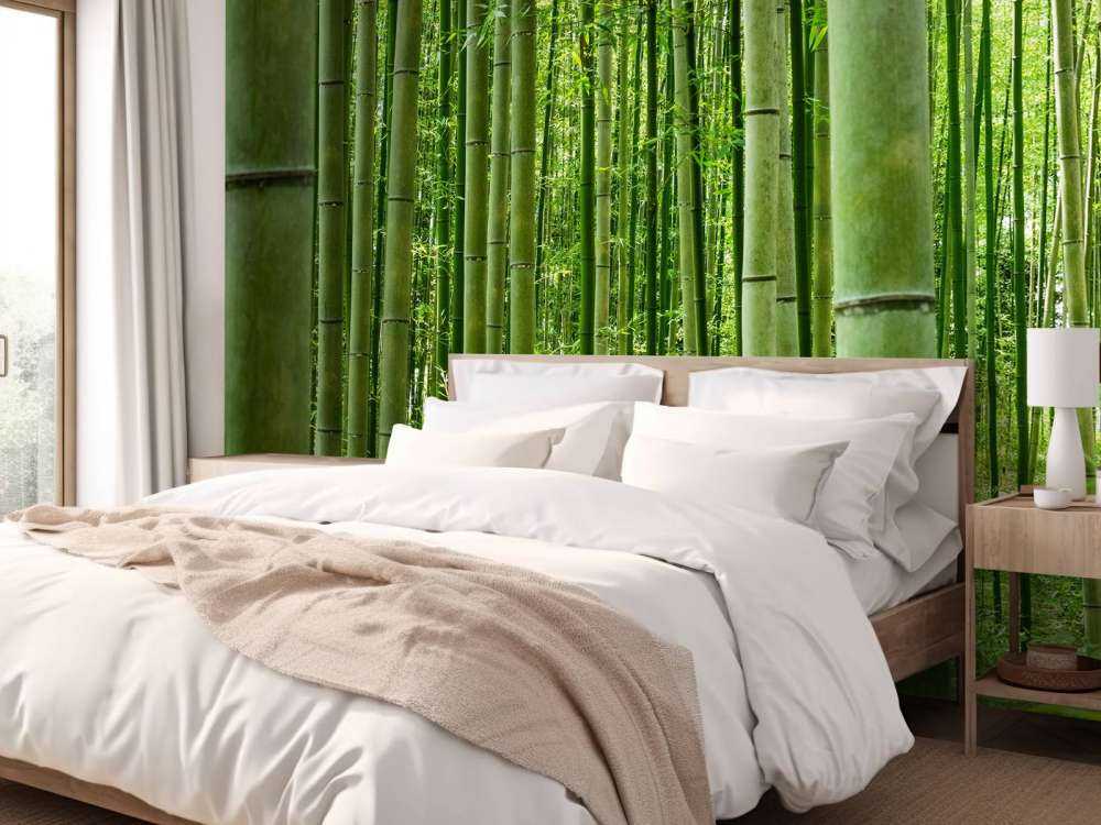 W środku lasu bambusowego