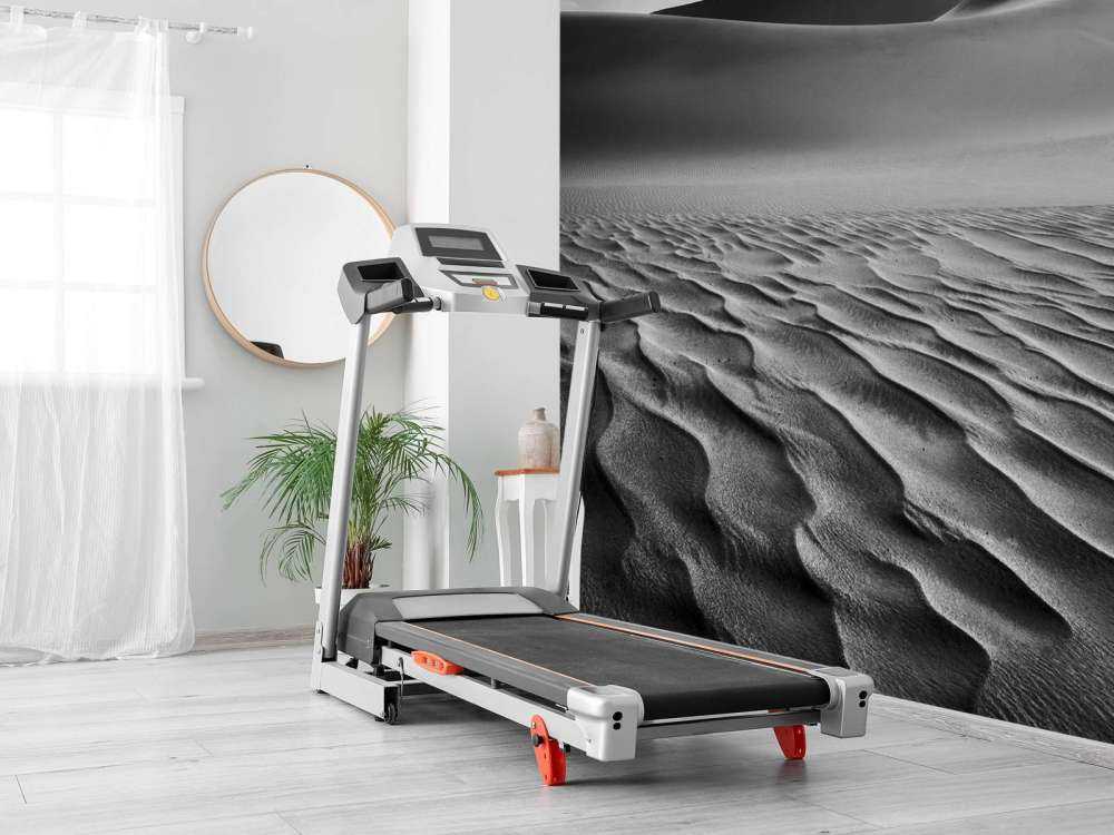 The Living Dunes, Namibia I