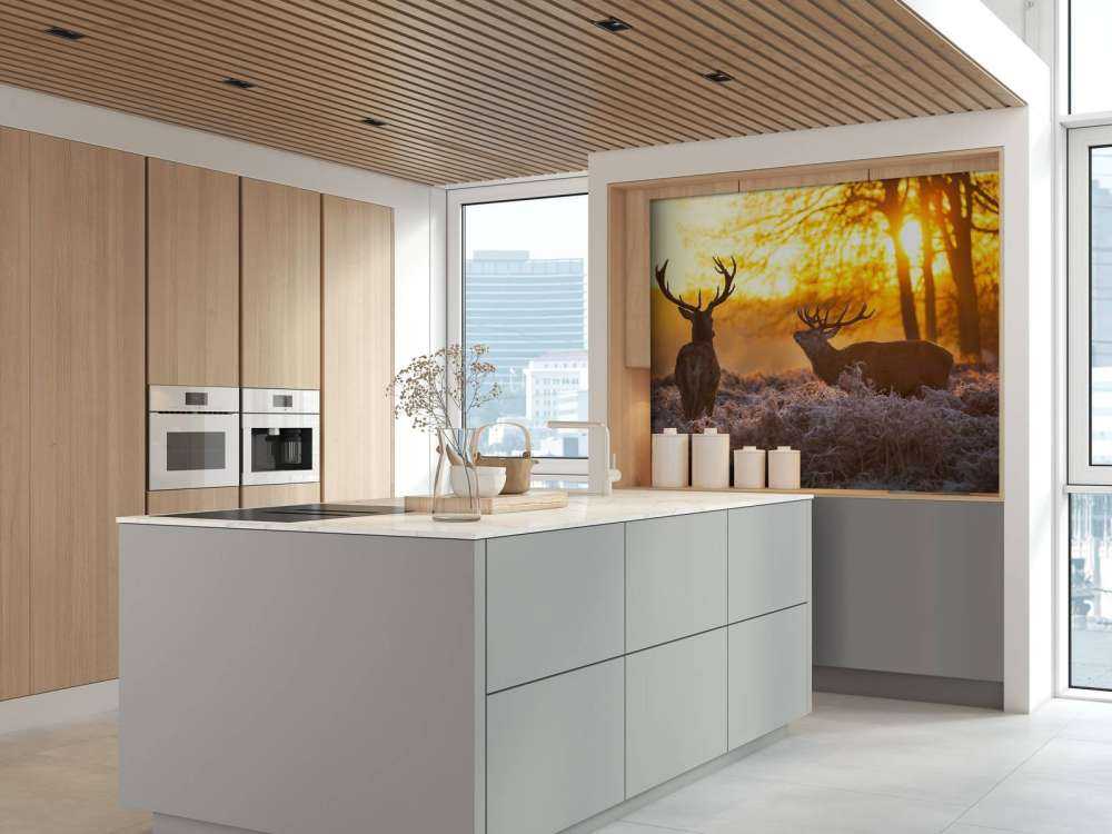 Jeleń o zachodzie słońca