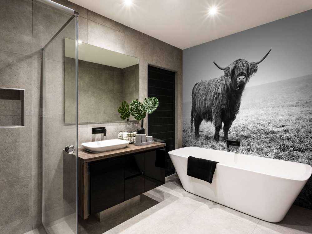 Szkocka rasa wyżynna w trawie