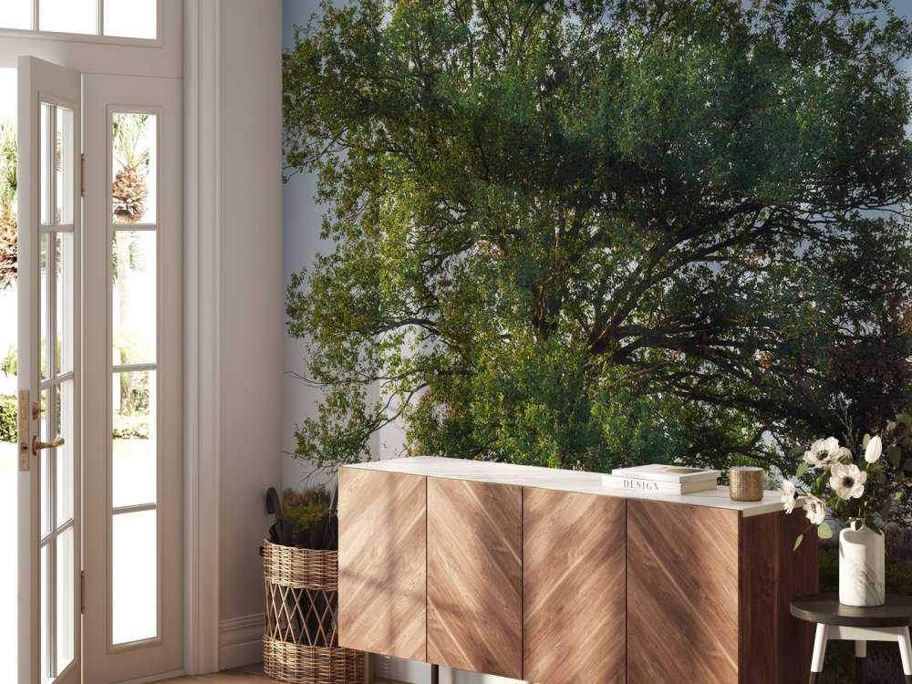 Samotne drzewo na wrzosowisku