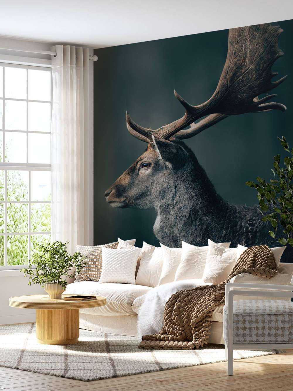 Jeleń daniel zbliżenie