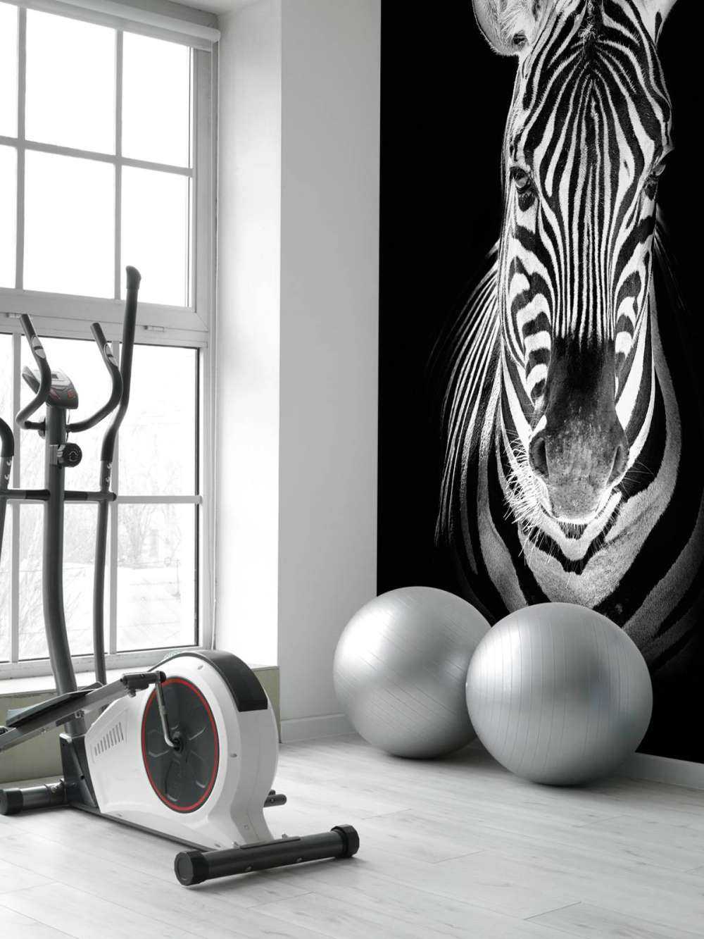 Zbliżenie na zebrę czarno-białą