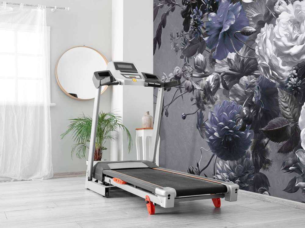 Duży bukiet z makami niebieskimi