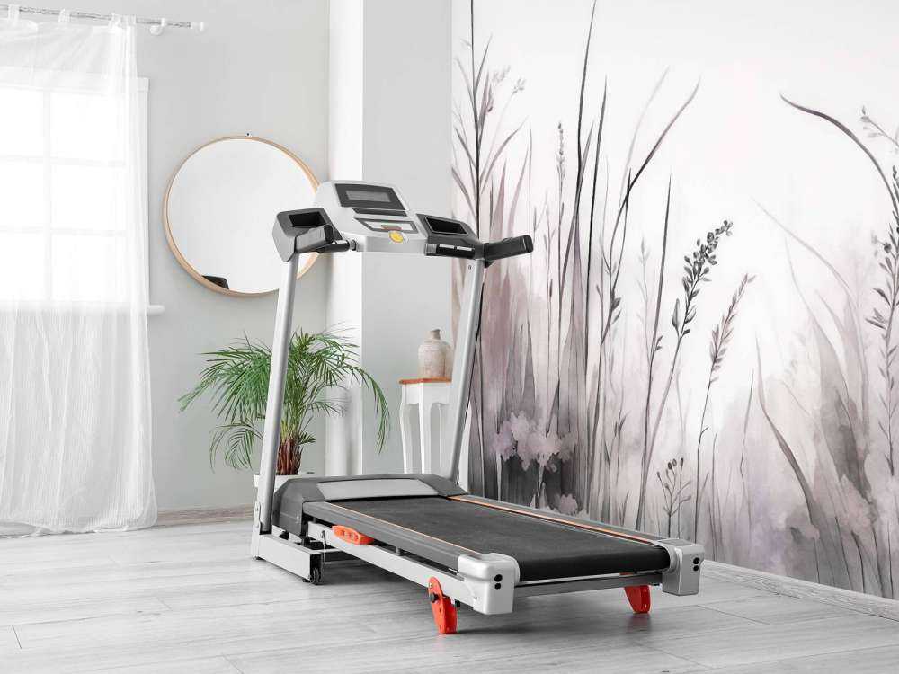 Harmonia Przygaszona Malwa