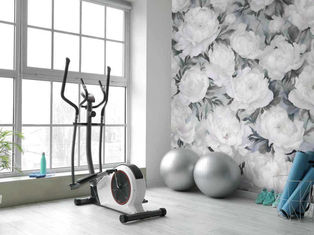 Ściana Peonii Niebieska