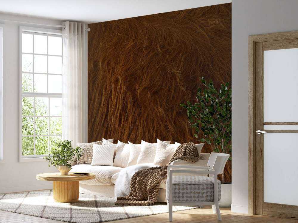 Sierść szkockiego wyżynna