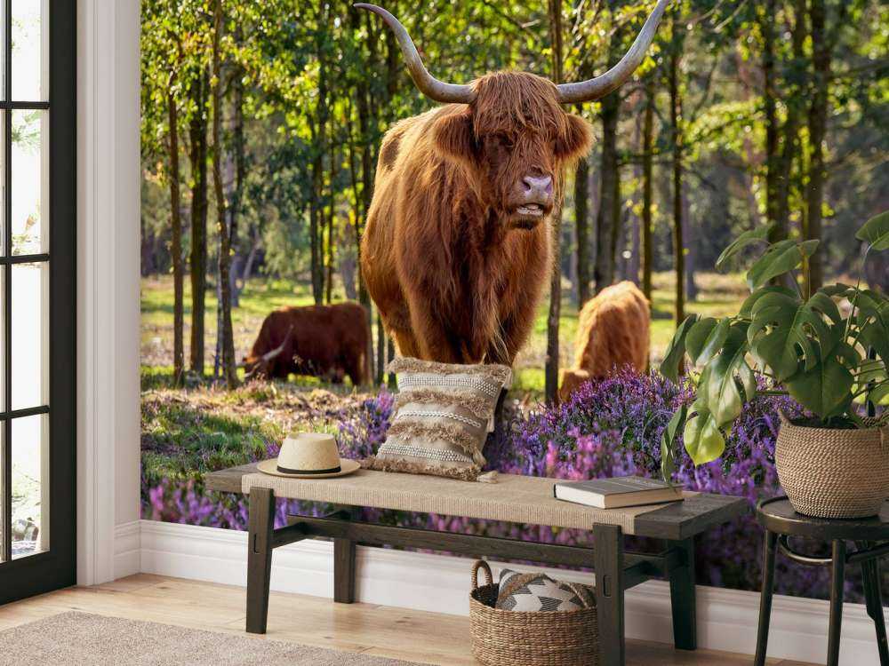 Wyżynny w rezerwacie przyrody