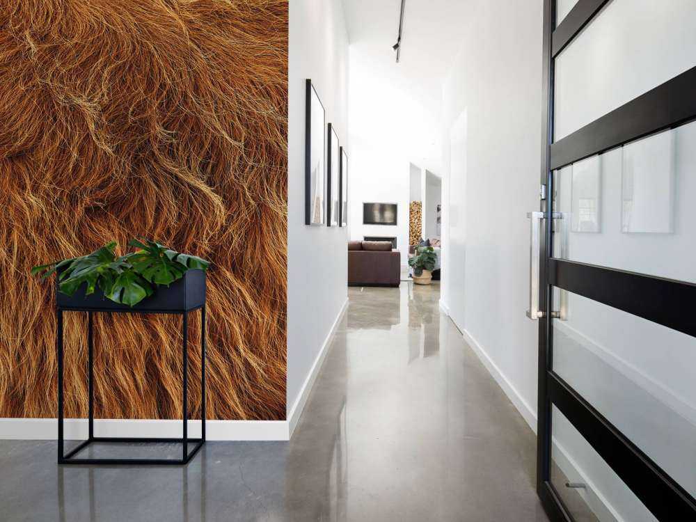 Szkocka sierść wyżynna w stylu vintage 