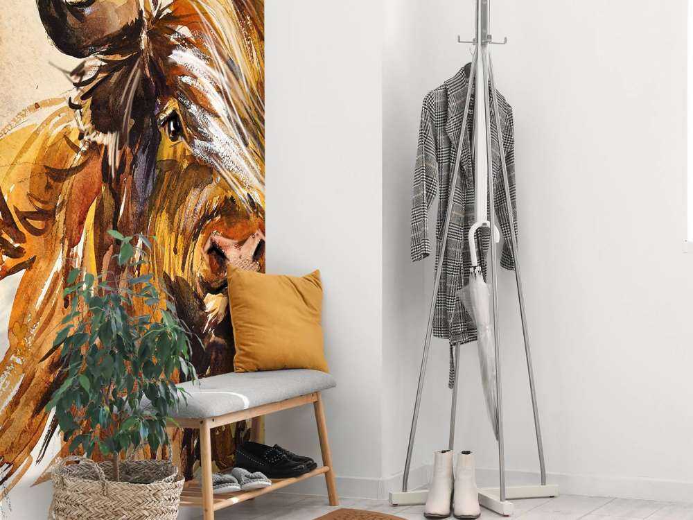 Namalowany szkocki byk