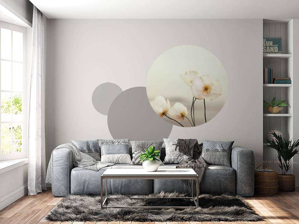 Białe maki w zbliżeniu