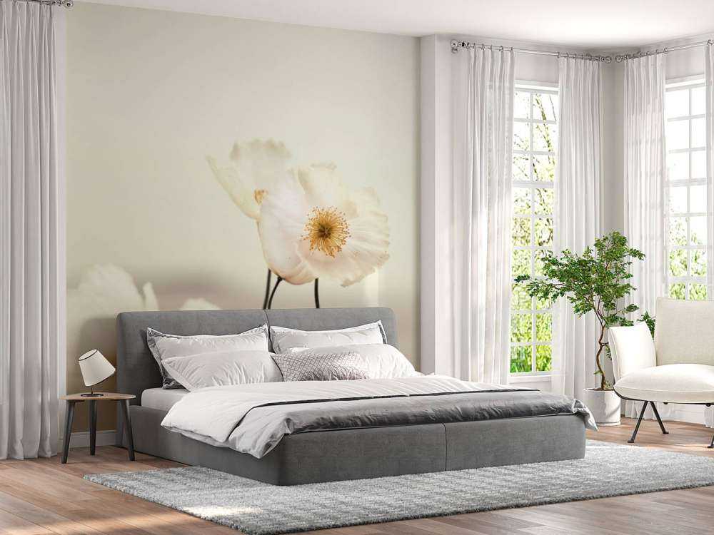 Białe maki w zbliżeniu