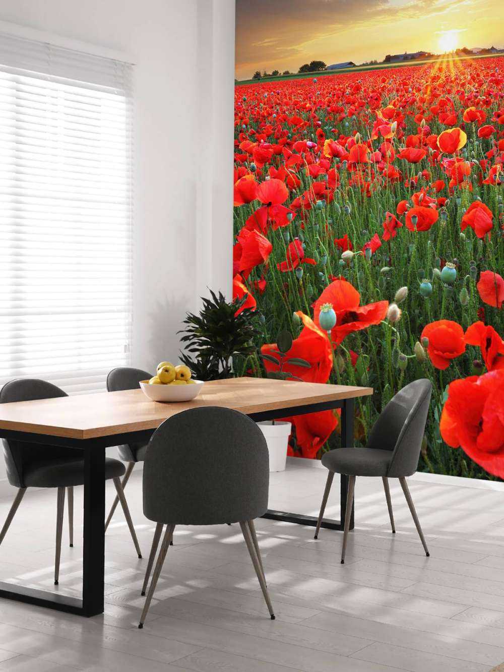 Maki o zachodzie słońca