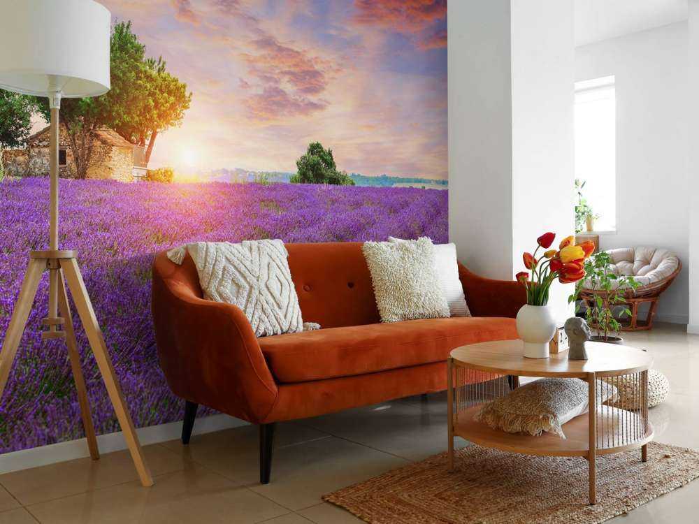 Pole lawendowe podczas wschodu słońca