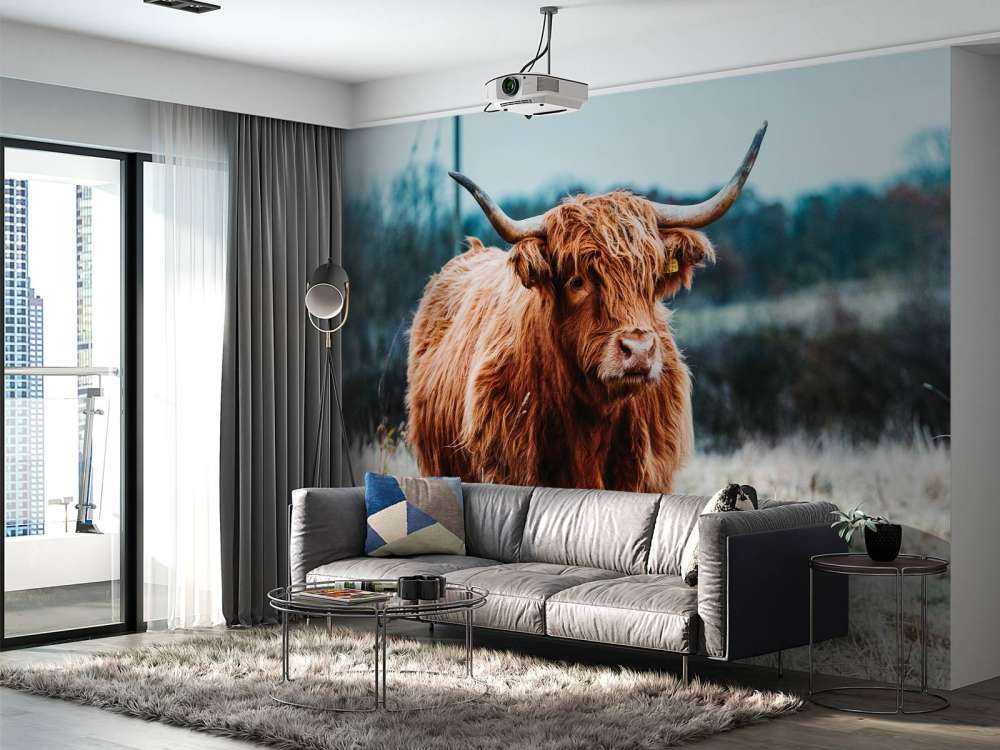 Szkocki wyżyn w lesie