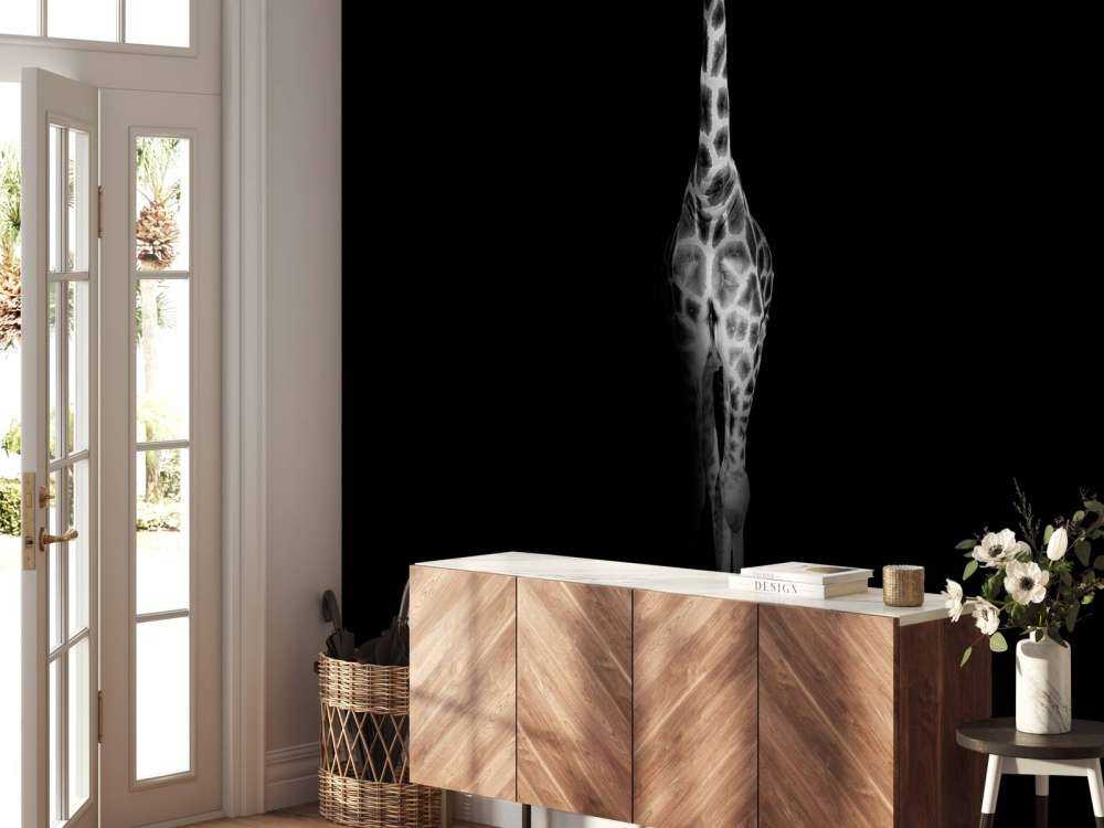 Żyrafa czarno-biała