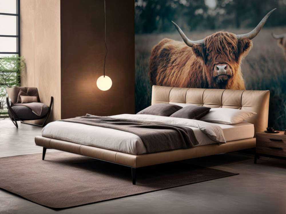 Szkocki góral w zbliżeniu