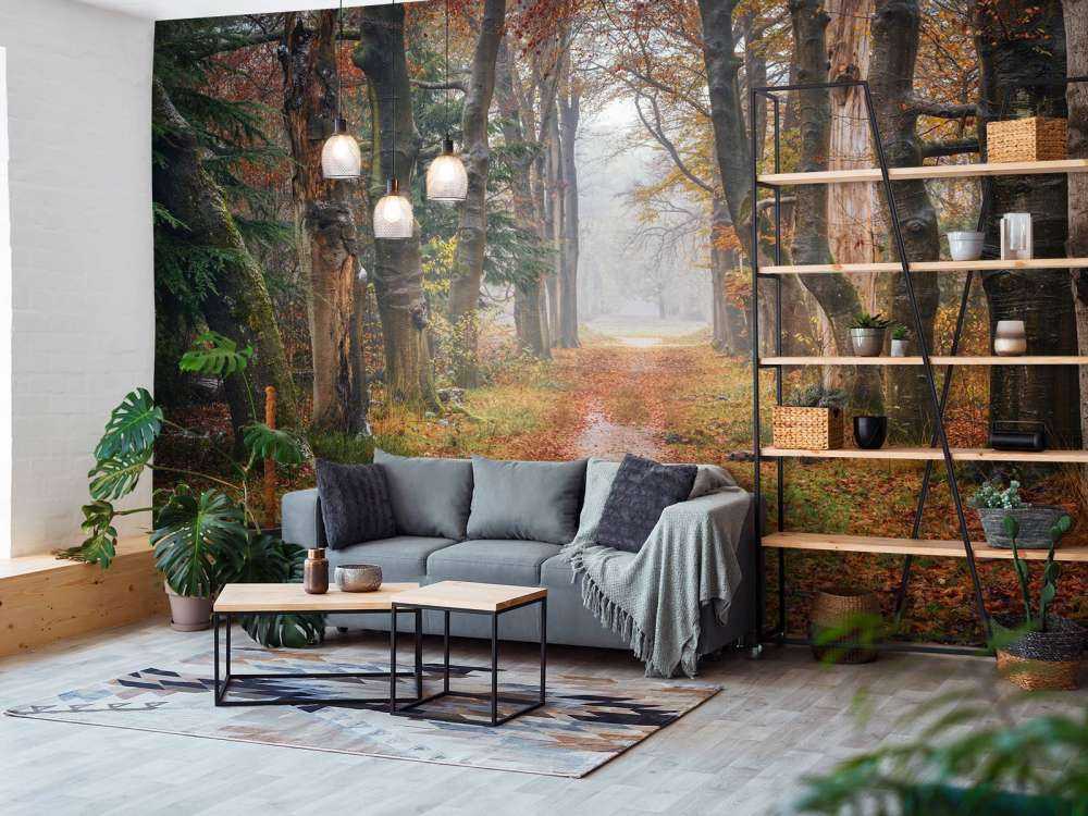 Leśna ścieżka ze starymi drzewami