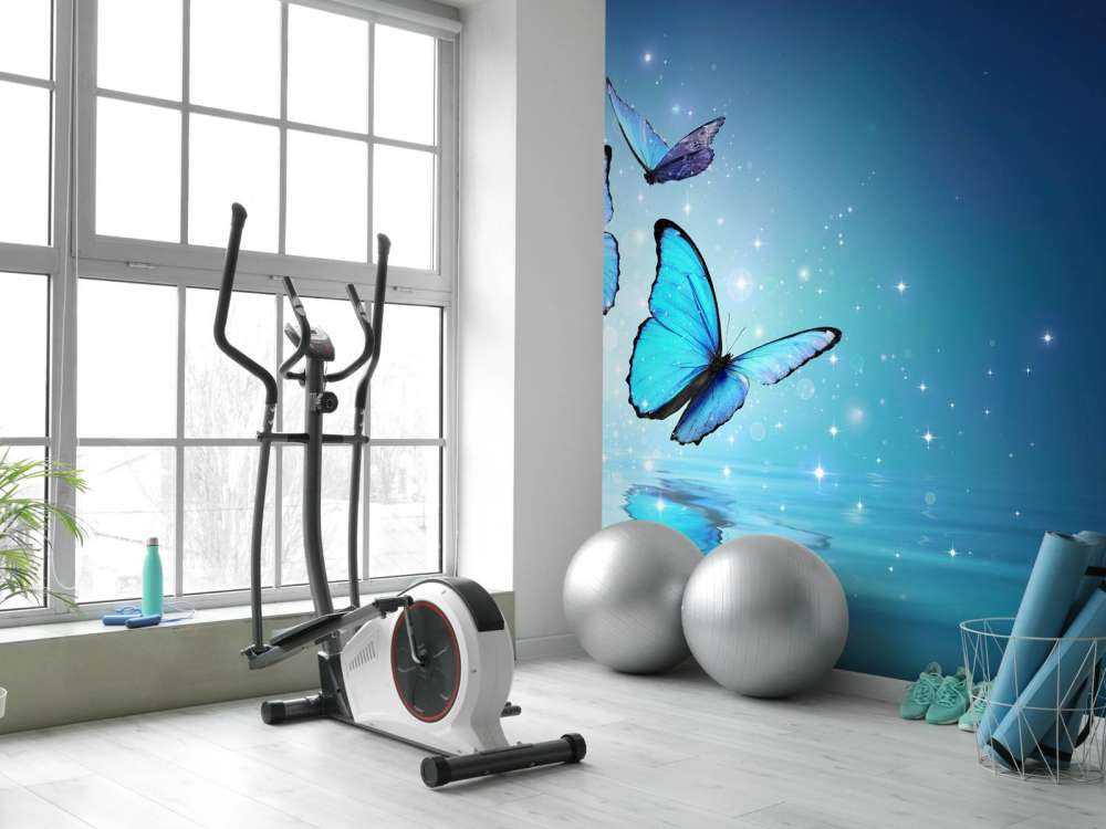 Wróżki motyle na wodzie