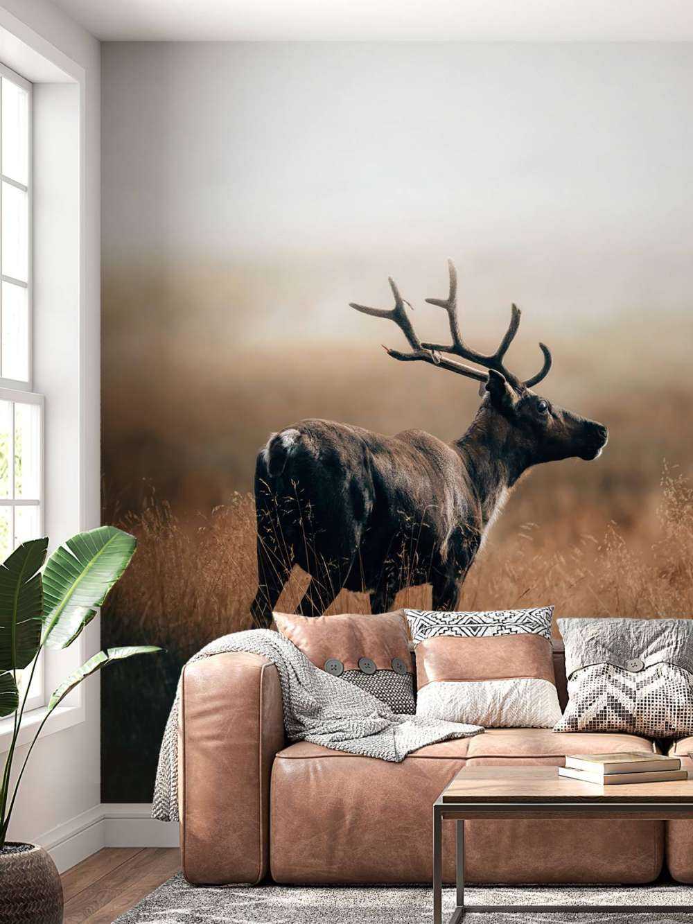 Renifer w wysokiej trawie