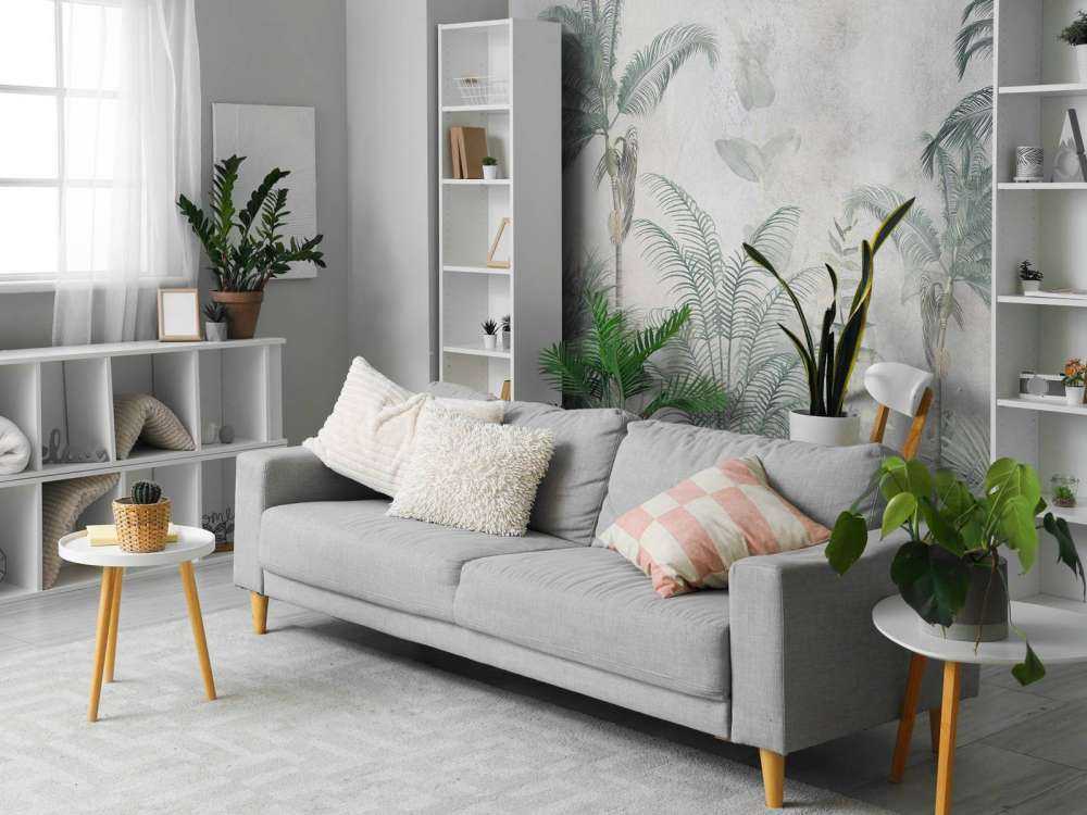 Mgliste Tropikalne Raj