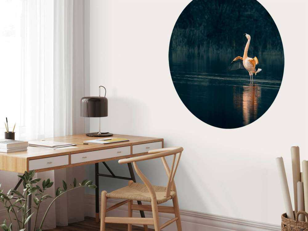 Flaming w opuszczonym jeziorze