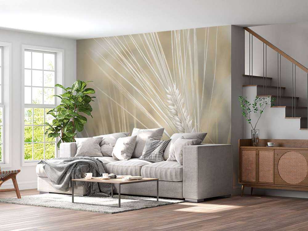 Zbliżenie na pszenicę