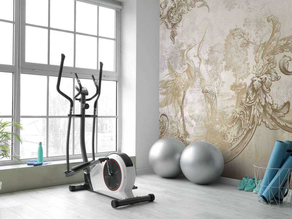 Ptaki o barokowym wyglądzie