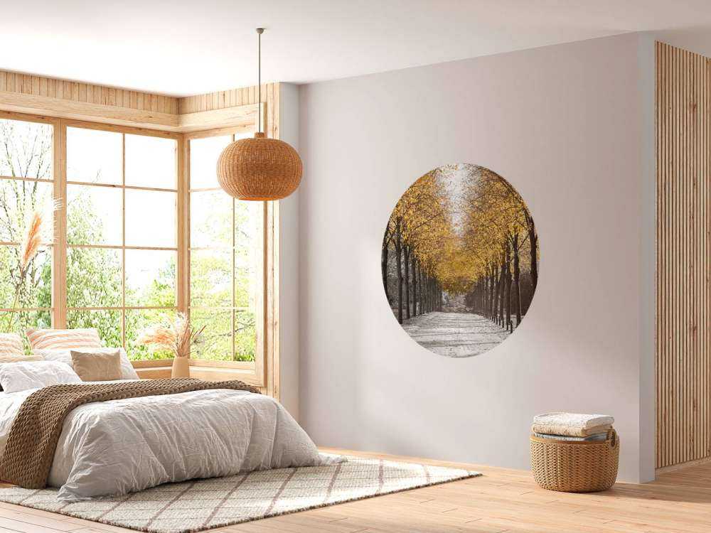 Ścieżka wśród drzew