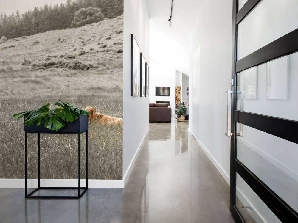 Szkocki wyżyn z cielakiem