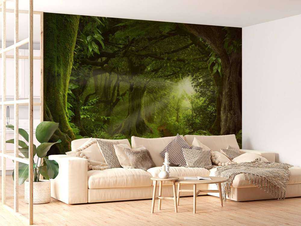 Tropikalna dżungla w świetle słońca