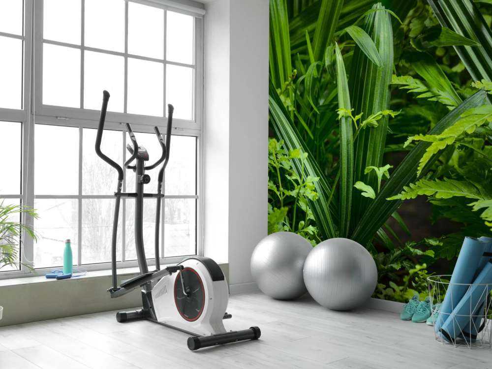 Panorama z roślinami