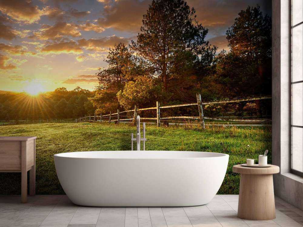 Pastwisko o zachodzie słońca