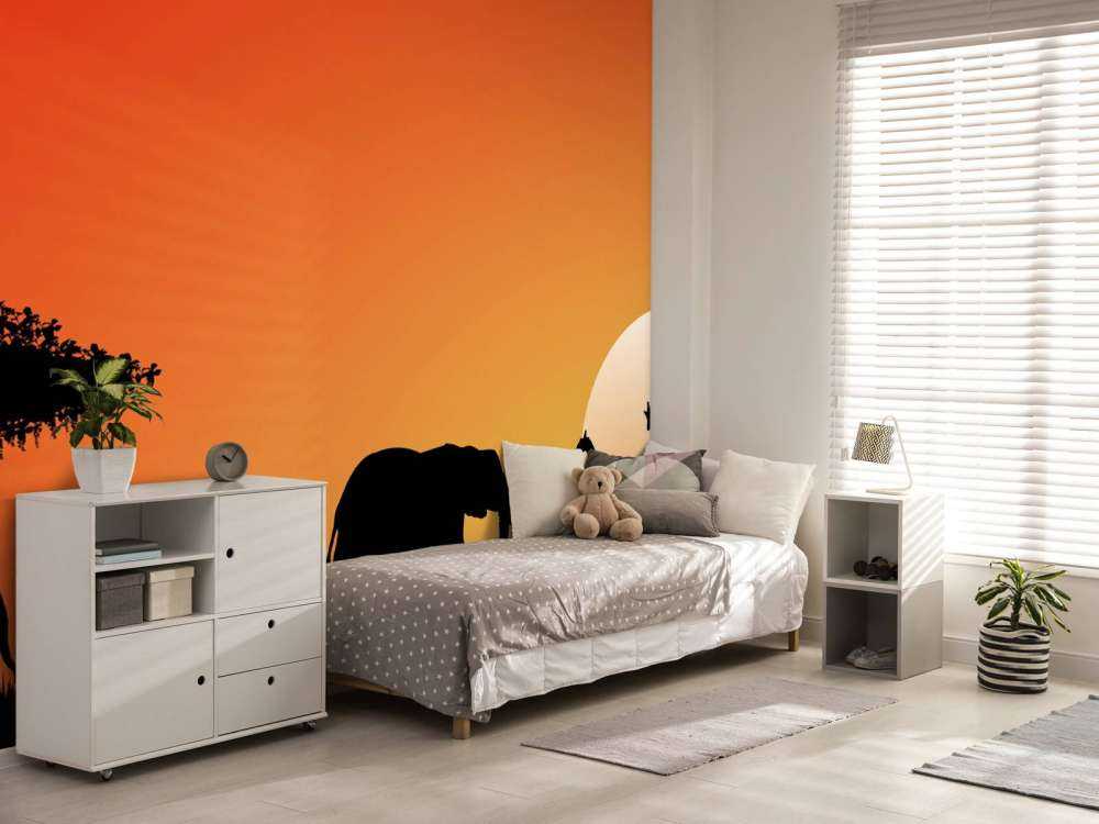 Safari o zachodzie słońca