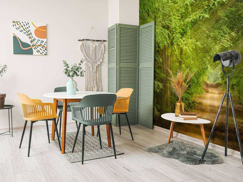 Ropucha w lesie z promieniami słońca