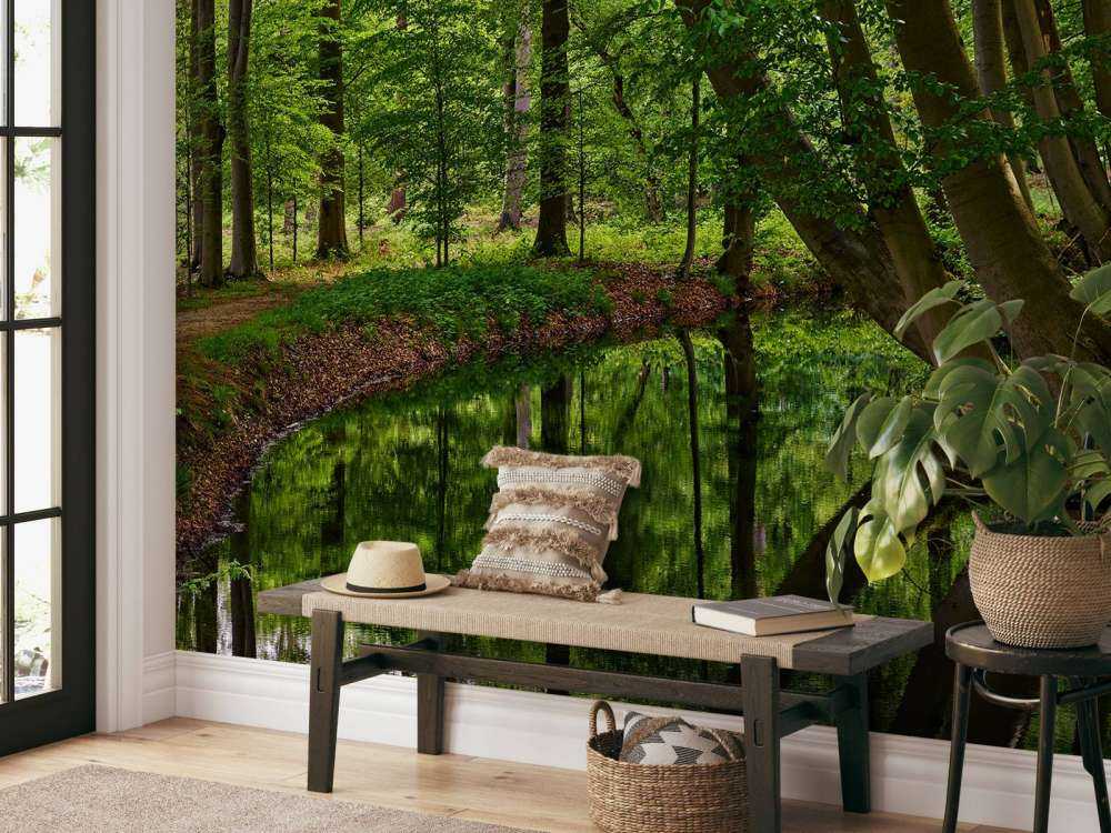 Wygięte drzewa w pobliżu wody