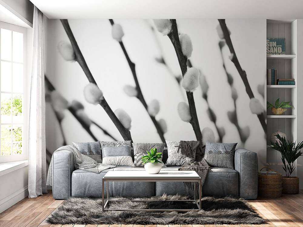 Wierzba leśna w czerni i bieli