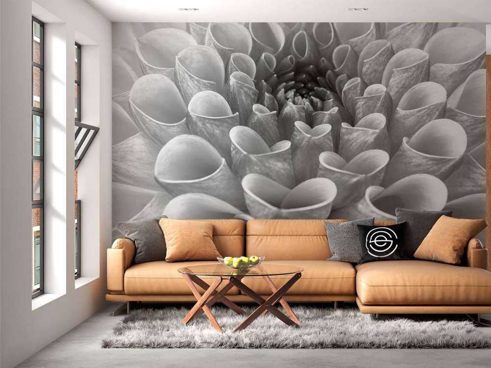 Zbliżenie na dalię