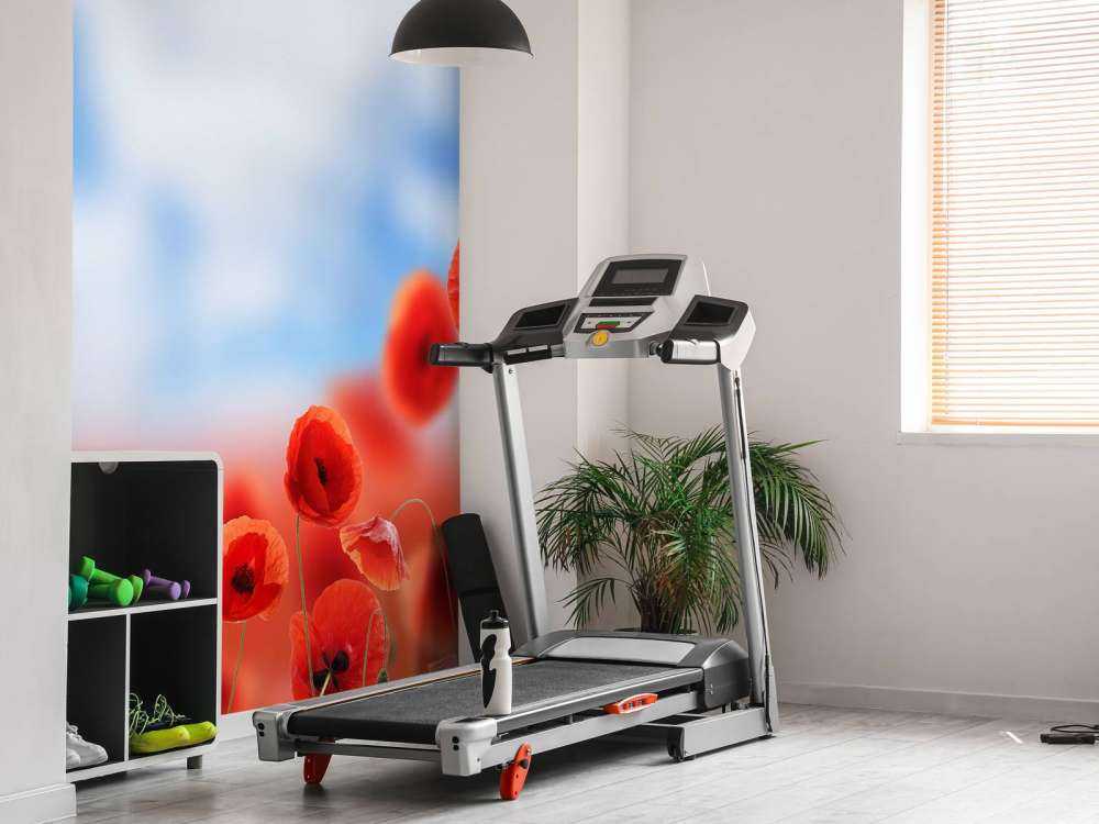 Błękitne niebo i czerwone maki